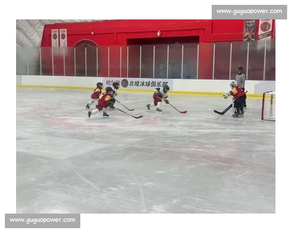 全国首届冰盘邀请赛冰城开赛 全国首届冰盘邀请赛冰城开赛